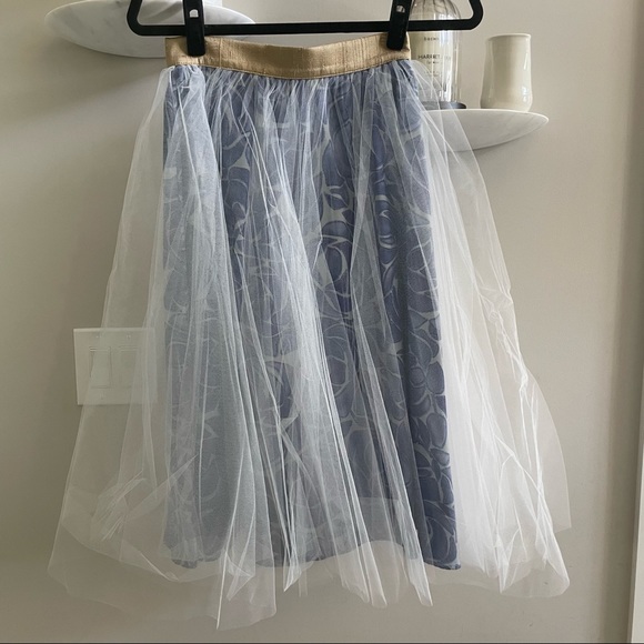Anthropologie Dresses & Skirts - Alexandra Grecco for Anthropologie Capelli Tulle Skirt